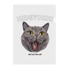 猫のイラスト屋さんのhideyoshi  クリアファイル