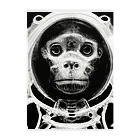 Eye2EyeのSpace Monkey #2 Clear File Folder