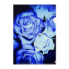 Anna’s galleryのBLUE Rose Clear File Folder