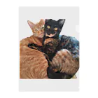 結社黒猫の猫LOVE Clear File Folder
