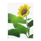 Dusk_and_DawnのSunflower02 Clear File Folder