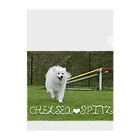 junjun_tirol.chelseaのチェルシー（スピッツ） Clear File Folder