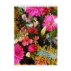 FUMINA UNO オリジナルショップのflower power Clear File Folder