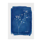 tocolierのCyanotype "gypsophola" クリアファイル