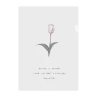 rilybiiの🌷 White Grayish Cherry Blossom Tulip . Clear File Folder