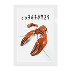 ザリガニ実験室のco3630729 ₋ 01 Clear File Folder