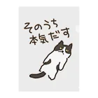 ミナミコアリクイ【のの】のそのうちそのうち【ねこ】 Clear File Folder