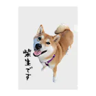 SHIBAOOOOOの柴生です クリアファイル