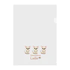 Bordercollie Streetのch-latte5 Clear File Folder