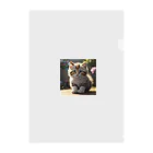 moonshine_fukurouの愛くるしい猫目線 Clear File Folder