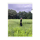 dadalio designの夢の跡 Clear File Folder