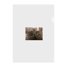 ANAROGUのふんわり猫 Clear File Folder