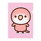 いんこ屋堂のアキクサインコ（ルビノー） Clear File Folder