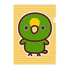 いんこ屋堂のキビタイボウシインコ Clear File Folder