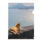 Ryoppi_neko_photoのRyoppi_neko_goods-3 Clear File Folder