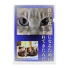 なごの家の白血病と闘う子たち クリアファイル