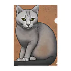 F2 Cat Design Shopのhairless cat 001 Clear File Folder