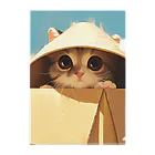 AQUAMETAVERSEの箱からのぞいている子猫　ラフルール　1859 Clear File Folder