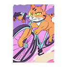 X50000Xの猫、チャリでお出掛け Clear File Folder