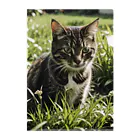 安達聖也の草むらの猫 Clear File Folder