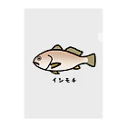 脂身通信Ｚの【魚シリーズ】イシモチ♪240507 クリアファイル