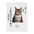 catnip factoryの不満顔の猫 Clear File Folder