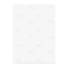 rilybiiの🩰 Balletcore Ribbon pattern . Clear File Folder