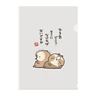 ただのなまけもののやる気品切れ中 Clear File Folder