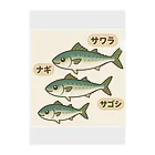 魚屋チーフの出世祝　出世魚ユニークシリーズ Clear File Folder
