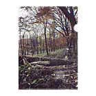 Too fool campers Shop!のautumn01 Clear File Folder
