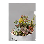 ネコスマッシュの多肉植物　セダムの花 Clear File Folder