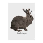 Jackalope Houseの未確認動物 クリアファイル