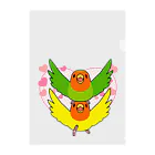 まめるりはことりのラブリーコザクラインコ【まめるりはことり】 Clear File Folder