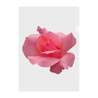 でおきしりぼ子の実験室のThe Rose (Half-blooming) クリアファイル