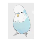 まめるりはことりの可愛いジャンボセキセイインコ【まめるりはことり】 Clear File Folder