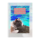 みなまりSHOPのにゃんこのあんちゃん Clear File Folder