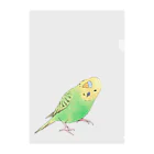 まめるりはことりの首傾げセキセイインコ　ピーちゃん【まめるりはことり】 Clear File Folder