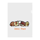 Mitsu-ZoのZebra-Finch クリアファイル