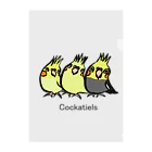 Mitsu-ZoのCockatiels Clear File Folder