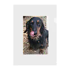 ruby mini moonのdog Clear File Folder