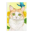 Miaws Shopのタンポポと白茶猫 Clear File Folder