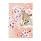 Miaws Shopの桜と三毛猫 Clear File Folder