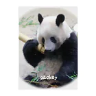 gackeyのもしもし PANDA Clear File Folder