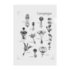 DOTEKKOのT-29 Ceropegia Clear File Folder