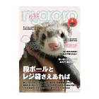 ぬん三郎商店のノ◯ノ風ファッション誌 クリアファイル