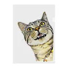 mamekoroの色鉛筆猫ちゃん クリアファイル