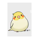 *KAKAPO*の*KAKAPO*のふんわりオカメインコちゃん(るちの) Clear File Folder