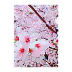 Yu-yuのさくら桜🌸 Clear File Folder