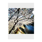 ppmの桜 Clear File Folder