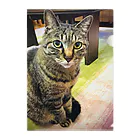 さざなみのわたしのねこ Clear File Folder